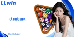 Tin Tức LLWIN: Cập Nhật Thông Tin Cá Cược Mỗi Ngày