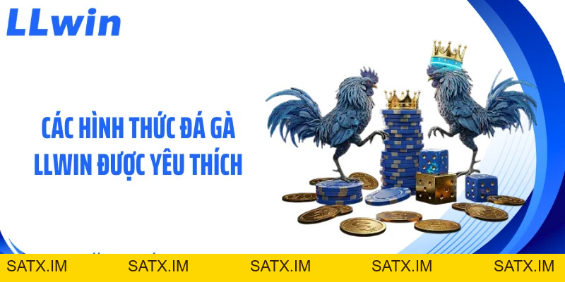 Đá Gà LLWIN - Sảnh Game Sôi Động Cho Người Mê Đấu Kê