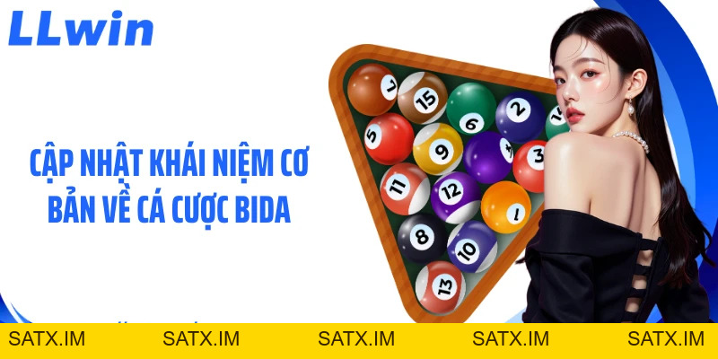 Cá Cược Bida: Chỉ Dẫn Soi Kèo Và Các Thể Loại Chính
