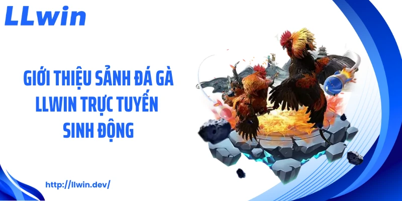 Đá Gà LLWIN - Sảnh Game Sôi Động Cho Người Mê Đấu Kê