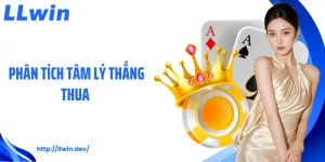 TỰ TRUYỆN - llwindev