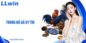 Tin Tức LLWIN: Cập Nhật Thông Tin Cá Cược Mỗi Ngày