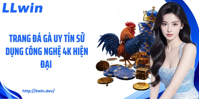 Trang Đá Gà Uy Tín LLWIN Luôn Được Hội Viên Tin Dùng